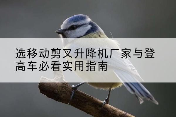 临颍电动升降机厂家-选移动剪叉升降机厂家与登高车必看实用指南