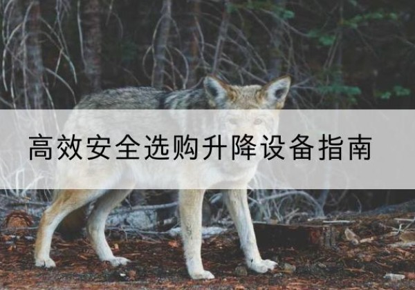 临颍升降货梯厂家推荐-*安全选购升降设备指南