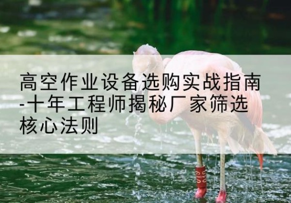 临颍剪叉式升降机厂家-高空作业设备选购实战指南-十年工程师揭秘厂家筛选核心法则